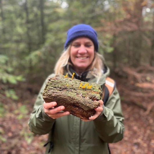 Natuurmeditatie en medicinale planten