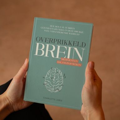 Image of Boek Overprikkeld brein